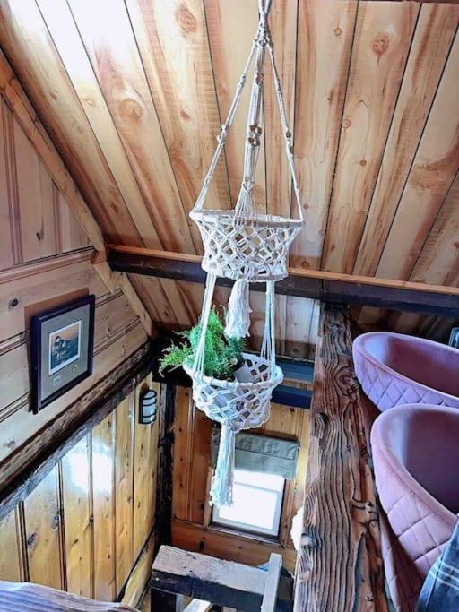 1 B1b Cabin/walk To Lake/boulder Bay Park *