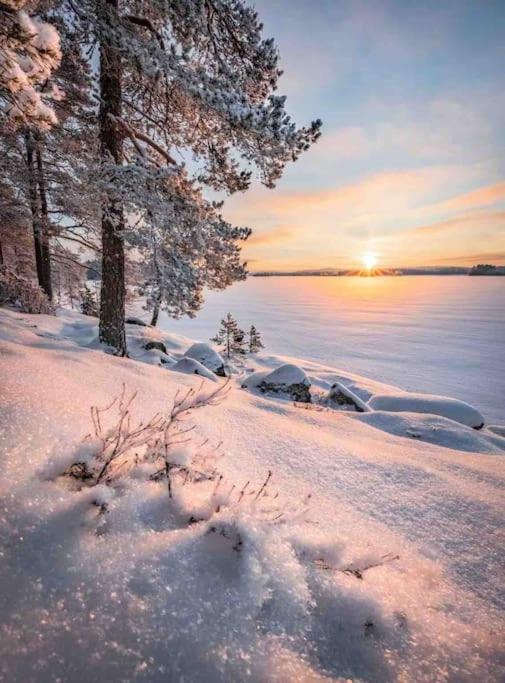 1 B1b Cabin/walk To Lake/boulder Bay Park Holiday home Big Bear Lake